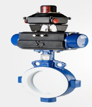 Delval Lined Butterfly Valve