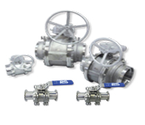 Other Clean Valves