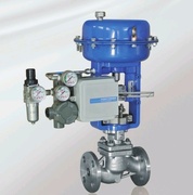 Globe control valve
